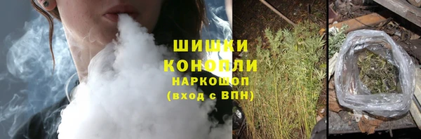 индика Бронницы