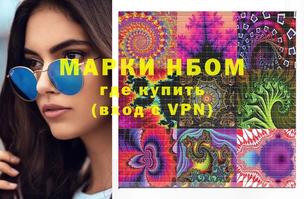индика Бронницы
