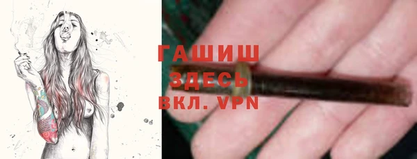 индика Бронницы