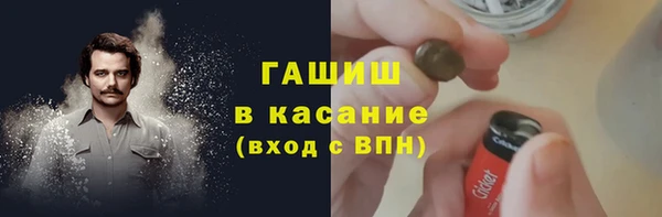 индика Бронницы