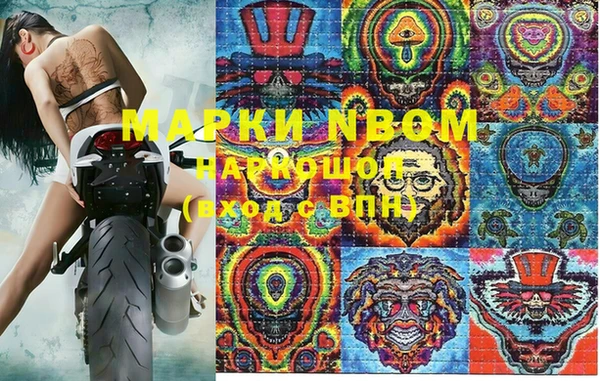 индика Бронницы