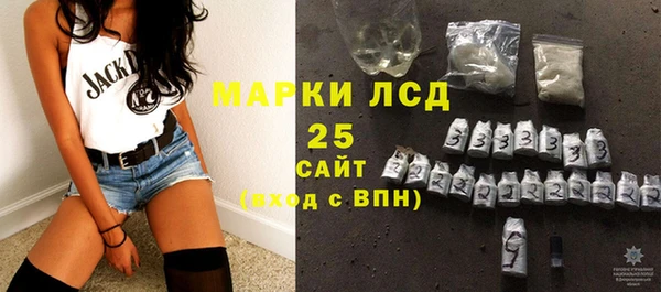 индика Бронницы