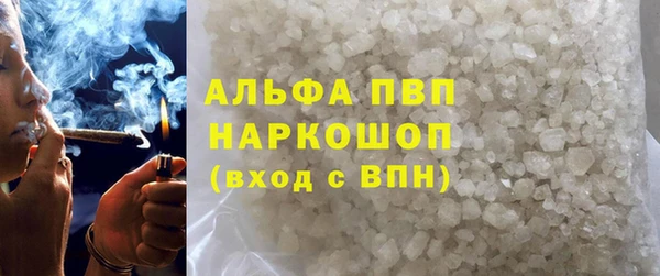 индика Бронницы