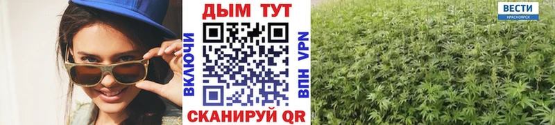 Конопля гибрид Ветлуга